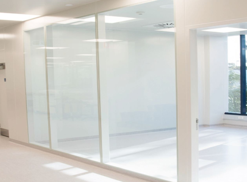 Cleanroom Windows